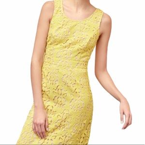NWT BANANA REPUBLIC Luxe Lace Sheath Dress
